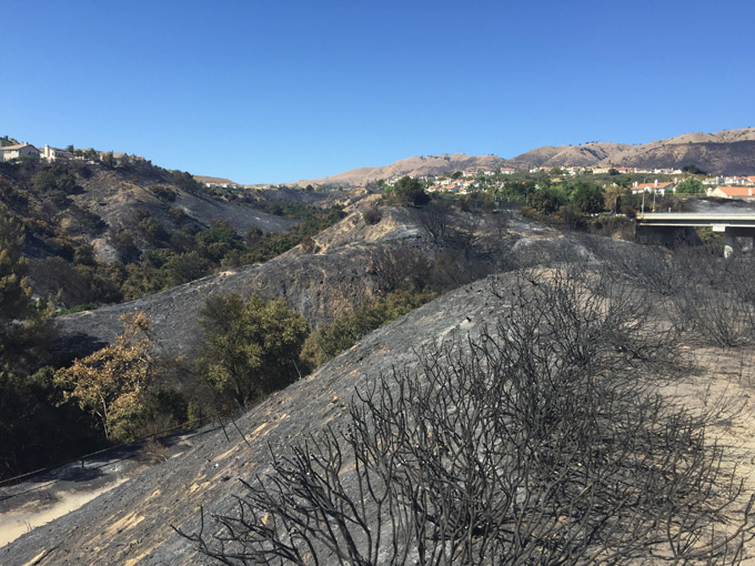 Moonshine Canyon burned in Porter Ranch Saddleridge Fire 2019