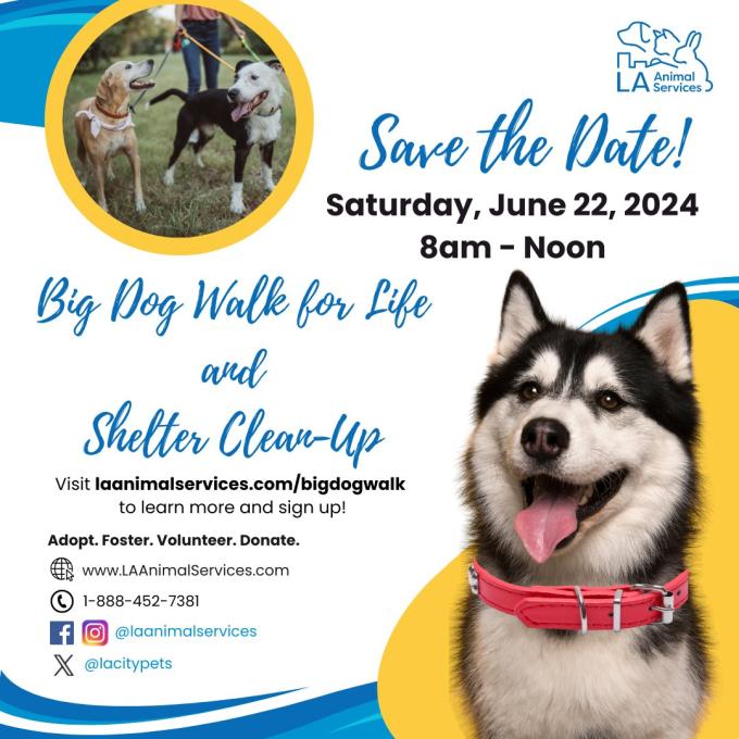 Big Dog Walk for Life