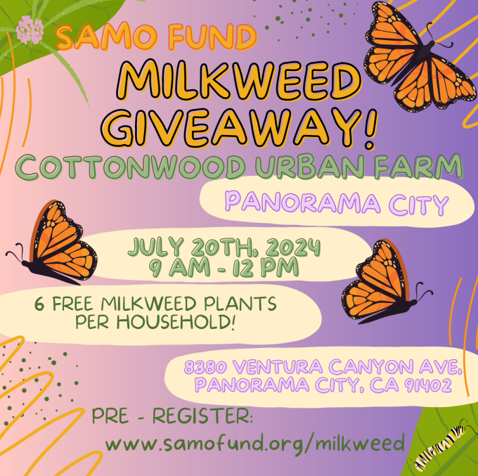 Free Milkweed Giveaway